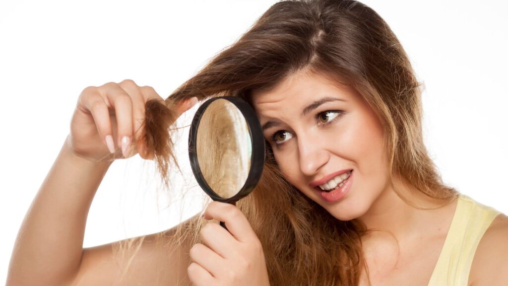 have skilled professionals
